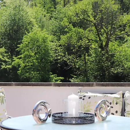 Residenz Waldblick 5 Sterne Penthouse-ferienwohnung Klassifizierung Dtv Διαμέρισμα