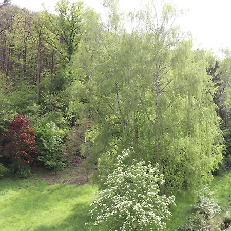 Residenz Waldblick 5 Sterne Penthouse-ferienwohnung Klassifizierung Dtv * Вахенхайм-ан-дер-Вайнштрасе