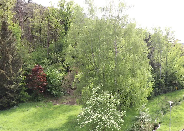 Residenz Waldblick 5 Sterne Penthouse-ferienwohnung Klassifizierung Dtv * Wachenheim an der Weinstraße